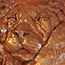 Wall hanging of lion heads