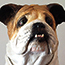 Sculpture of a bull dog