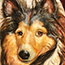 Sculpture of a collie